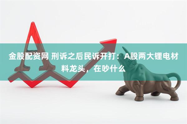 金股配资网 刑诉之后民诉开打：A股两大锂电材料龙头，在吵什么