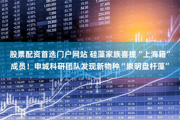 股票配资首选门户网站 硅藻家族喜提“上海籍”成员！申城科研团队发现新物种“崇明盘杆藻”